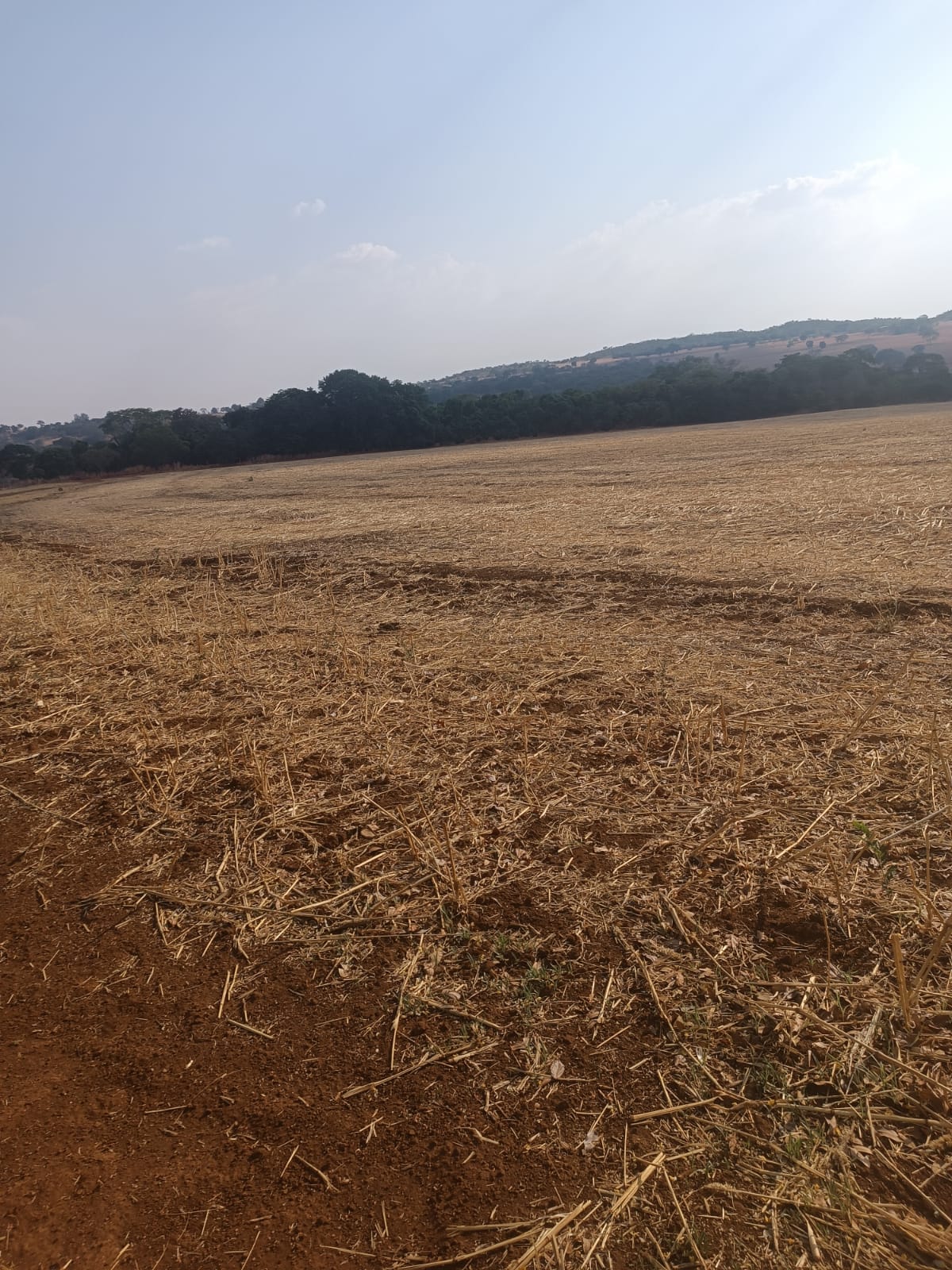 Fazenda 36 Alqueires - Bela Vista de Goiás