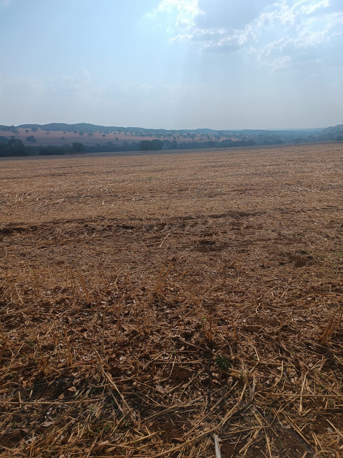 Fazenda 36 Alqueires - Bela Vista de Goiás