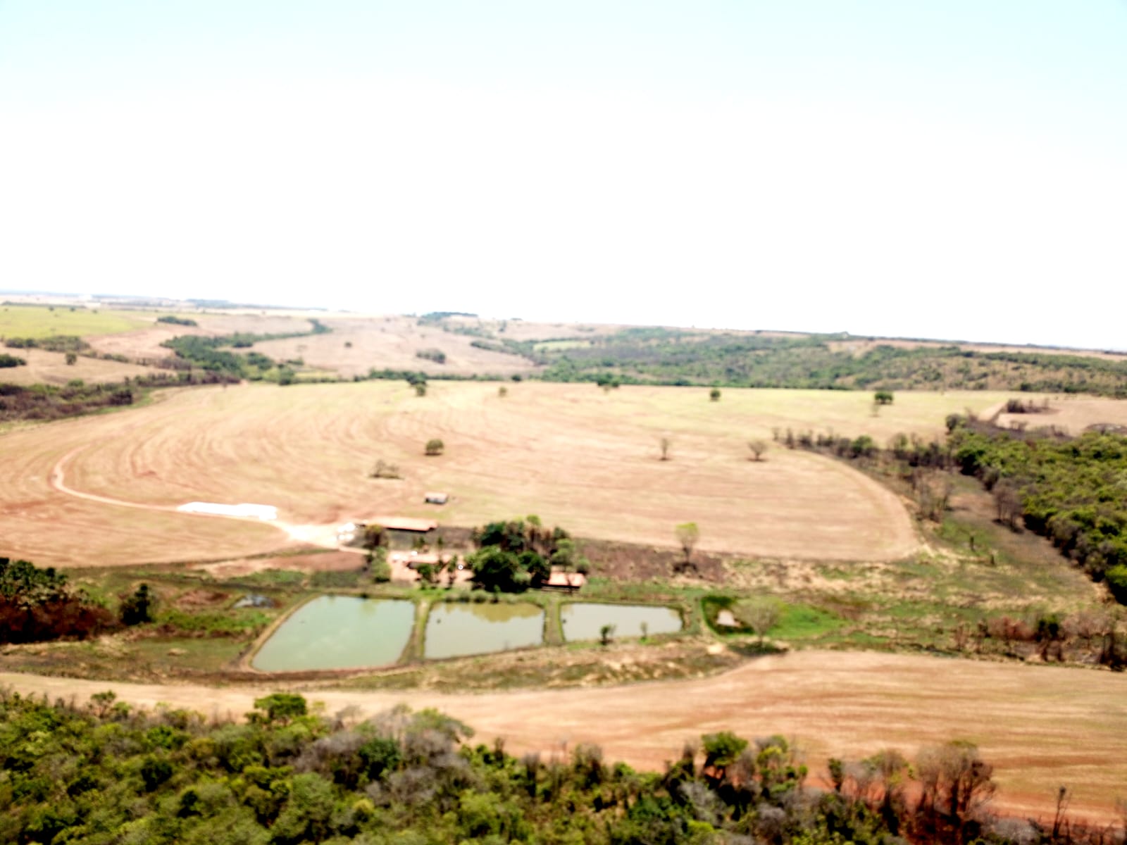 Fazenda Piracanjuba