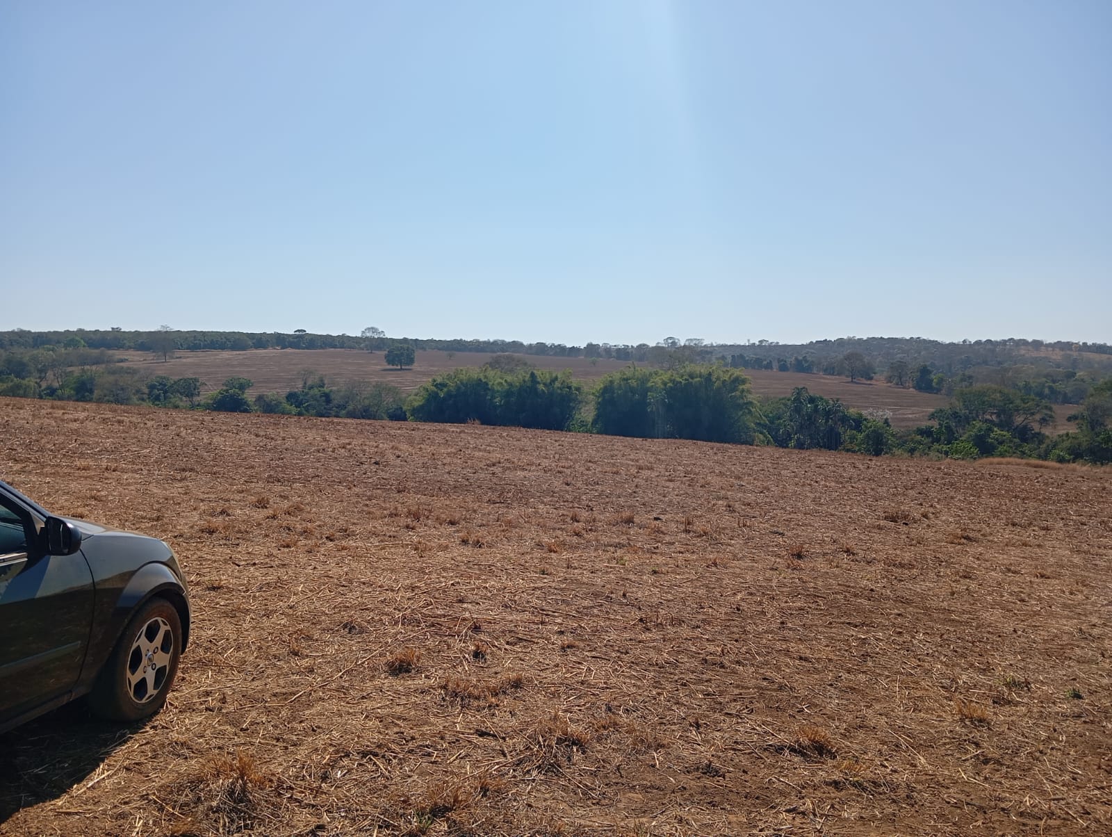 Fazenda 39 Alqueires - Piracanjuba